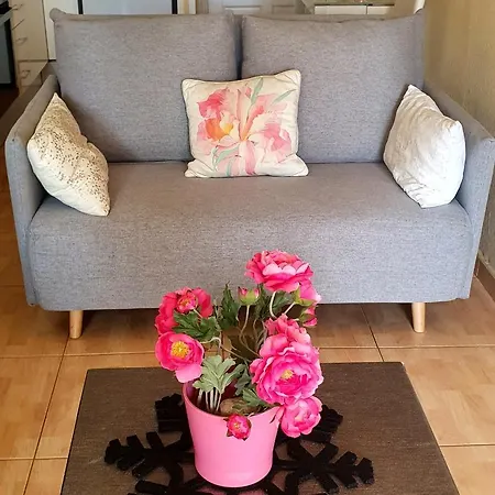 Apartment Vistasalsol Tenerife Arona (Tenerife)